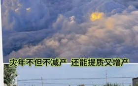 破解农业“靠天吃饭”难题：健康农业科学家刘福信的专业指南