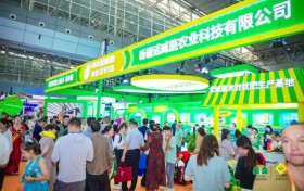 针状肥霸屏新疆农博会！西洋诺威施“三连冠”引爆全场