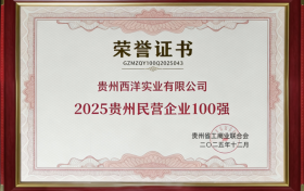 蝉联殊荣丨西洋诺威施再登“贵州民营企业100强”榜单