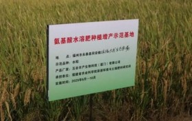 闽台合作添新力！永泰水稻测产忙，粮食增产有盼头
