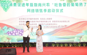 助推新疆吐鲁番水果迈向全国