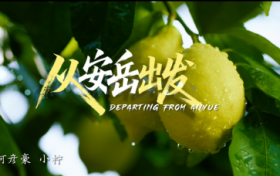 《从安岳出发》循着柠檬香，聆听安岳的奋斗之歌