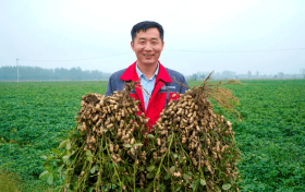 临泉县乡合农服负责人祁伟：从种子到大树，他走了五年