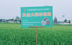 乡合农服土壤改良：给土地“治病”，让丰收“生根”