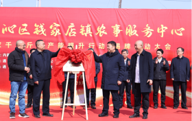 科区首家！科尔沁区钱家店乡合农事服务中心开业 擘画基层农业社会化服务新图景