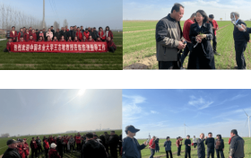 乡合农服特邀外部专家深入一线精准“巡田”，把脉问诊护航冬小麦春管