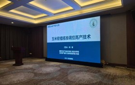 乡合：90后种地小白种植创业底气何在？“科技+服务”打造单产提升标杆